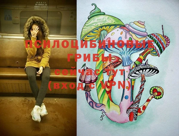 spice Абаза