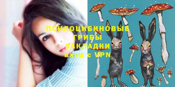 spice Абаза