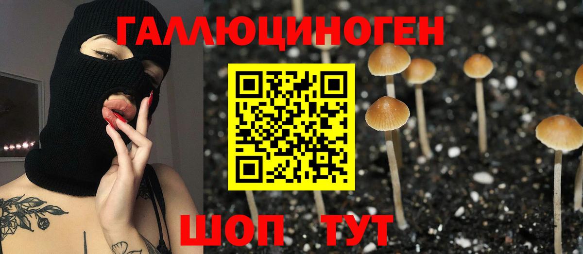 Псилоцибиновые грибы мухоморы Иваново