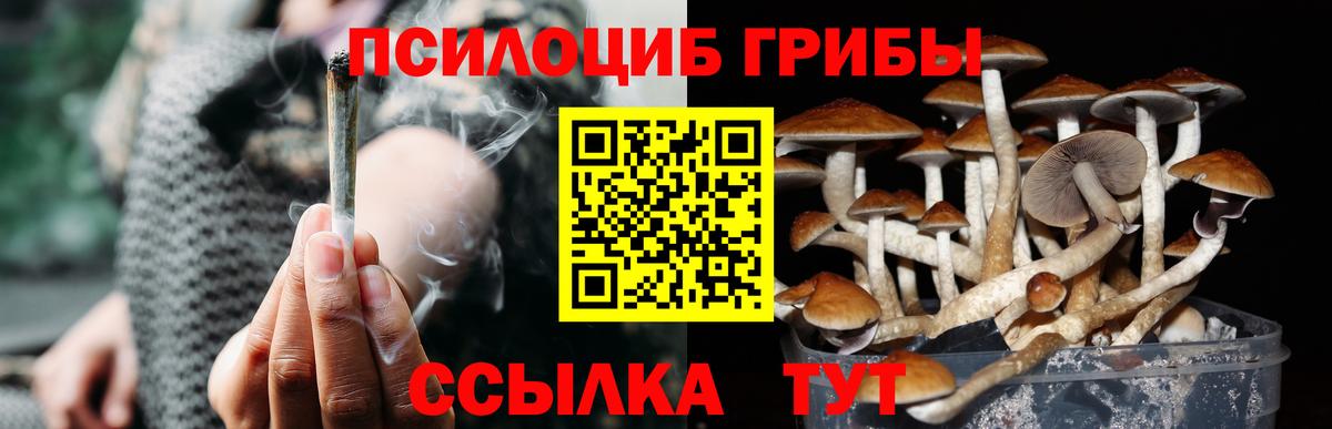 Иваново  сколько стоит  Вход с VPN  Псилоцибиновые грибы Magic Shrooms 